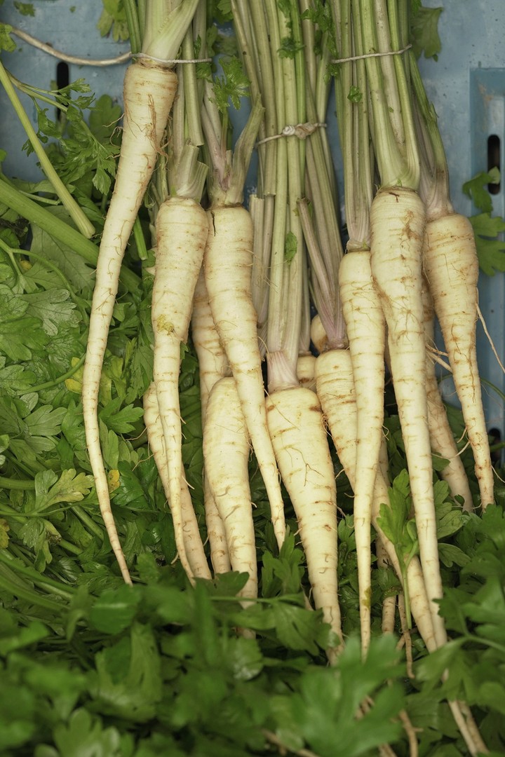 Petržlen - ilustračné foto